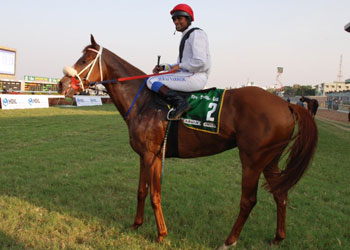 indiarace.com:- Arabian Prince (Suraj Narredu Up), winner of The Vijay Textiles Golconda Derby Stakes (Grade I) 