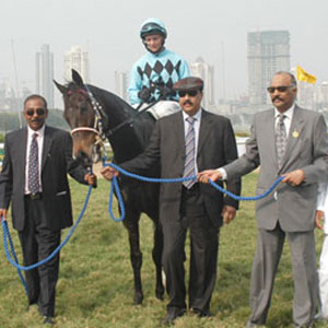 indiarace.com:- Dancing Dynamite (David Allan Up), winner of The R N Kanga Gold Trophy