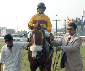 indiarace-Red Romeo (M Fenton Up), winner of The Chief Minister's Gold Cup